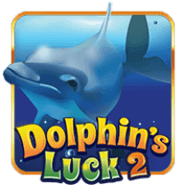 DolphinsLuck2
