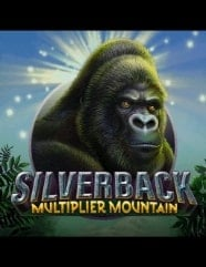 Silverback: Multiplier Mountain